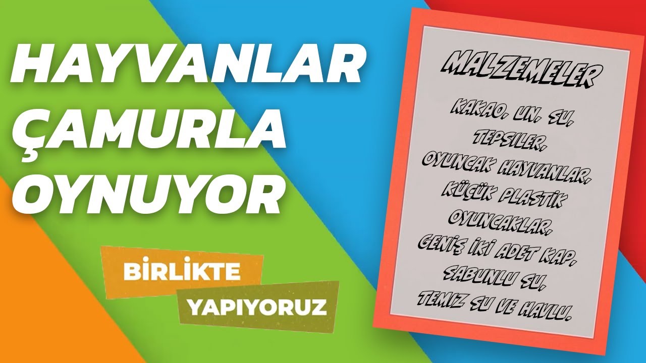 Hayvanlar Çamurda Oynuyor